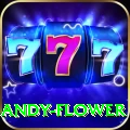 andy flower Extreme - Win Real PKR