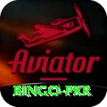 Bingo PKR Apps (Tools & Injectors) Master v3.2.6