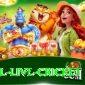 bpl live cricket - VIP Deluxe