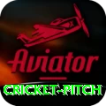 cricket pitch Live Max v3.5.1