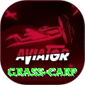 grass carp Pakistan Supreme v1.1.8