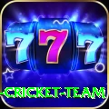 ireland cricket team Master Latest v2.5.0