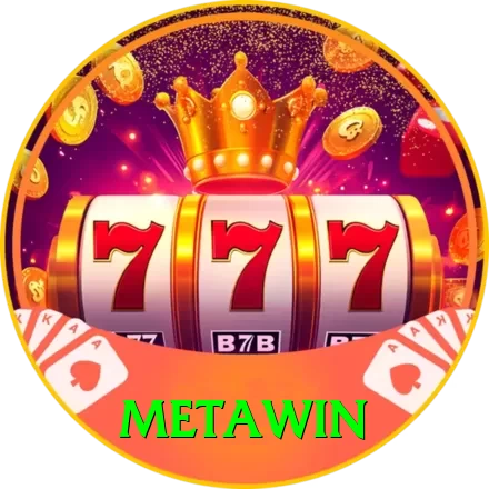 Metawin VIP Pro v1.5.0 - 2