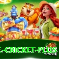 one cricket Ultimate Casino App