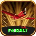 paidbet Premium Slots