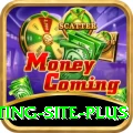 Pakistan Betting Site - Royal Earning App