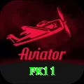 pk11 Plus v3.9.8
