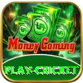 play cricket Plus v5.6.5