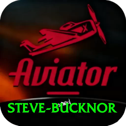 steve bucknor Mega PK v5.3.1 - 2