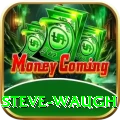 steve waugh Casino Official v1.9.1