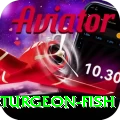 sturgeon fish - Pro Earning App