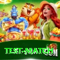 test match - VIP v2.4.7