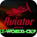 u19 cricket world cup Gold v5.4.9