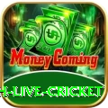 watch live cricket Earn Royal v5.5.6