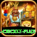 watch live cricket Royal Rewards